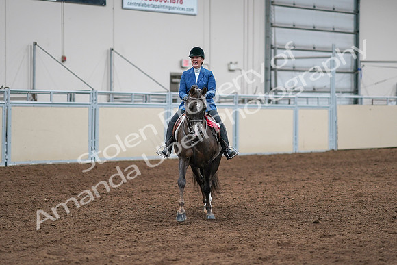 2020 - AB Morgan Horse - Sat, Sept 05 - 05245