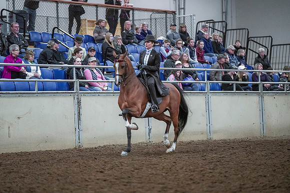 Spring Fling - Saturday - April 20, 2019  -  00703