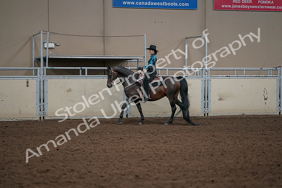 2019 Morgan Horse Show - Aug 30, 2019 - 26124
