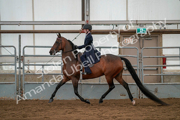 July 19, 2019 - 3902
