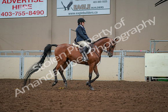 2019 Morgan Horse Show - Aug 30, 2019 - 22499