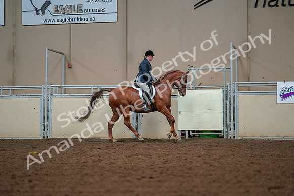 2019 Morgan Horse Show - Aug 30, 2019 - 22552