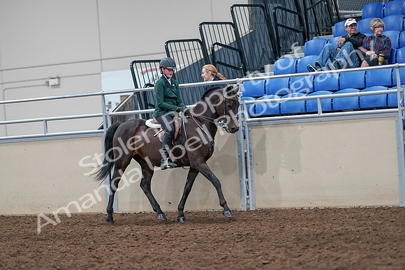 2020 - AB Morgan Horse - Sat, Sept 05 - 05138