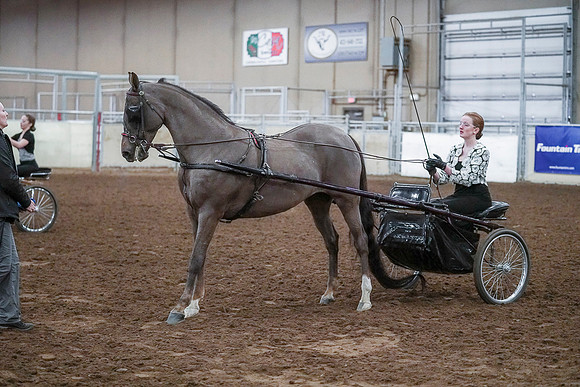 Spring Fling - Saturday - April 20, 2019  -  00305