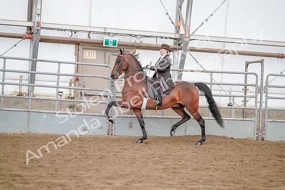July 21, 2019 - 12085