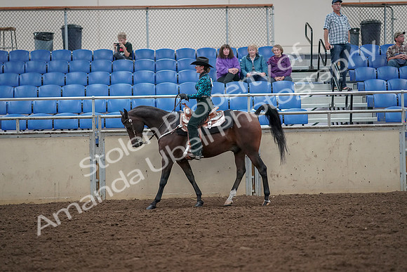 2019 Morgan Horse Show - Aug 30, 2019 - 25905
