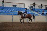 2019 Morgan Horse Show - Aug 31, 2019 - 05551