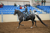 2020 - AB Morgan Horse - Sat, Sept 05 - 13578
