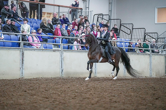 Spring Fling - Saturday - April 20, 2019  -  00473