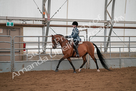 July 19, 2019 - 2479