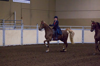 Class 108 - All Breeds English Country Pleasure, Jr. Rider
