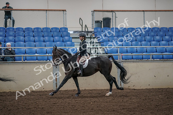 2019 Morgan Horse Show - Aug 31, 2019 - 05115