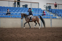 2019 Morgan Horse Show - Sept 01, 2019 - 08503