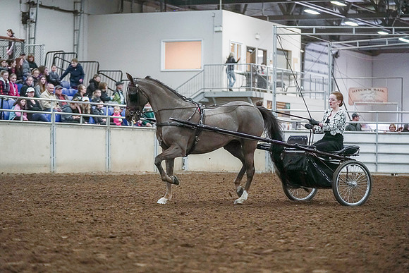 Spring Fling - Saturday - April 20, 2019  -  00232