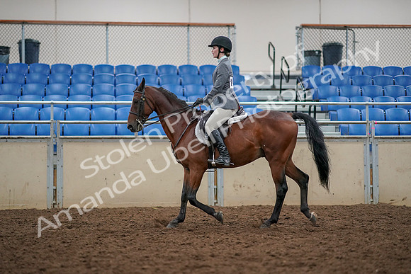 2019 Morgan Horse Show - Aug 30, 2019 - 23378