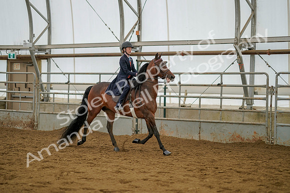 July 20, 2019 - 03904