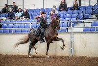 Spring Fling - Saturday - April 20, 2019  -  03620