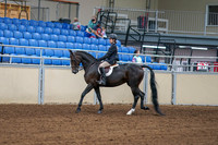 2020 - AB Morgan Horse - Fri, Sept 04 - 01992