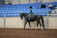 2020 - AB Morgan Horse - Fri, Sept 04 - 07741