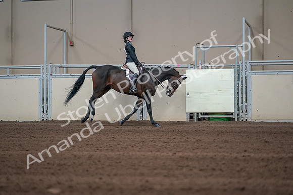 2019 Morgan Horse Show - Sept 01, 2019 - 03911