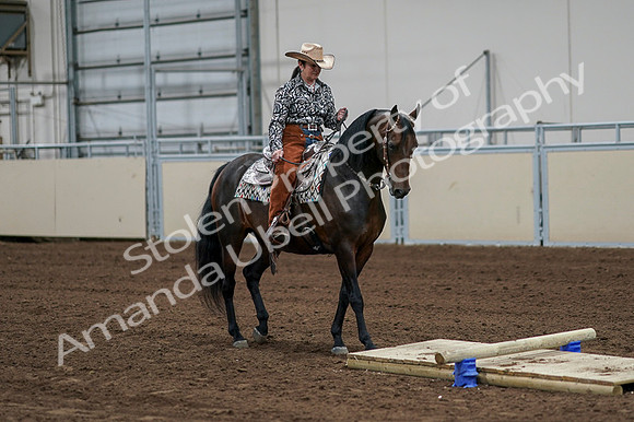 2020 - AB Morgan Horse - Fri, Sept 04 - 00305