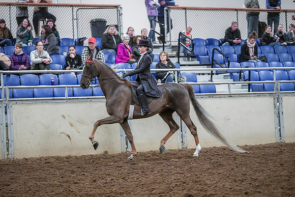 Spring Fling - Saturday - April 20, 2019  -  04097