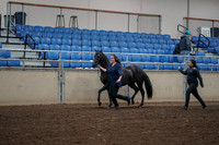 2019 Morgan Horse Show - Aug 31, 2019 - 00497