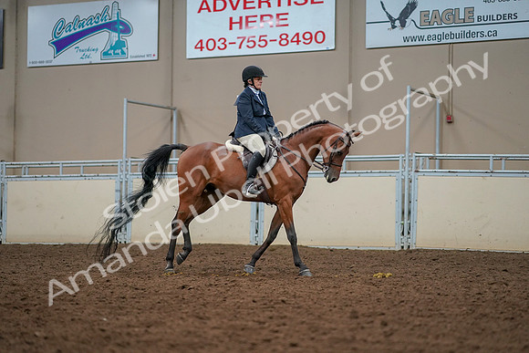 2019 Morgan Horse Show - Aug 30, 2019 - 22486