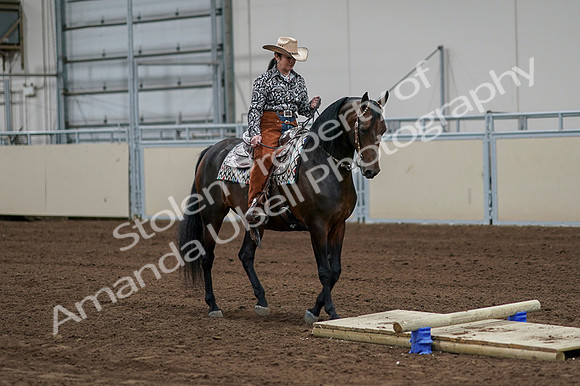 2020 - AB Morgan Horse - Fri, Sept 04 - 00307