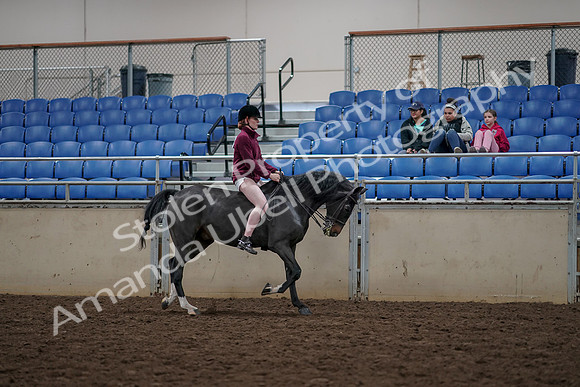 2019 Morgan Horse Show - Aug 30, 2019 - 31352