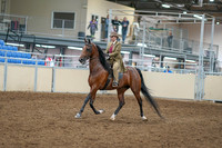 2020 - AB Morgan Horse - Sat, Sept 05 - 05283