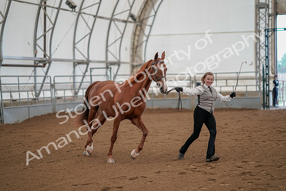 July 19, 2019 - 865
