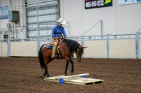 2020 - AB Morgan Horse - Fri, Sept 04 - 00232