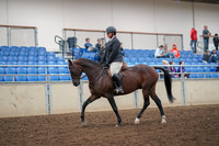 2019 Morgan Horse Show - Aug 30, 2019 - 29216