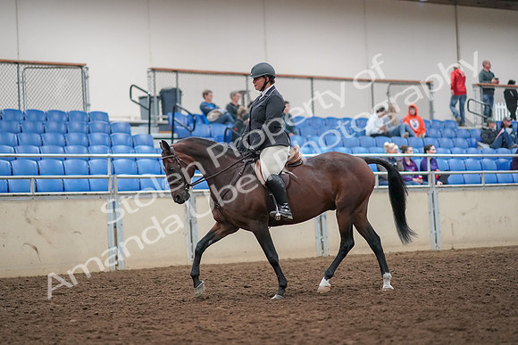2019 Morgan Horse Show - Aug 30, 2019 - 29216
