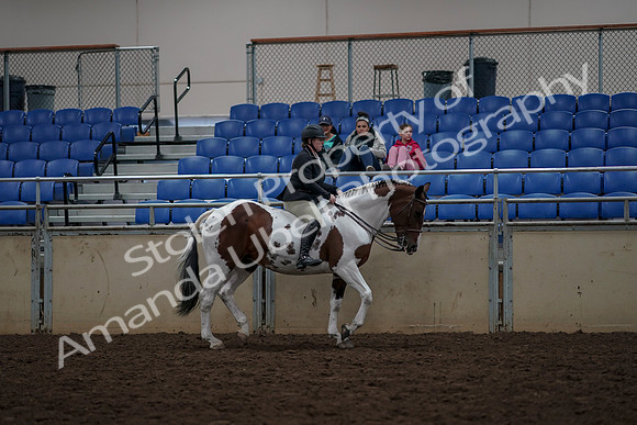 2019 Morgan Horse Show - Aug 30, 2019 - 31409
