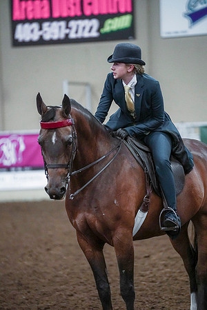 Spring Fling - Saturday - April 20, 2019  -  00871