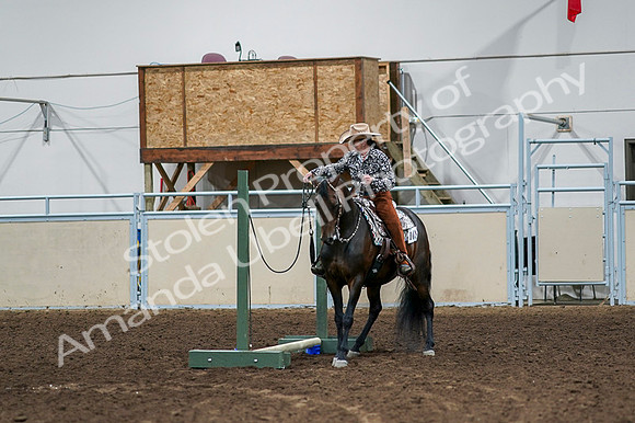 2020 - AB Morgan Horse - Fri, Sept 04 - 00362