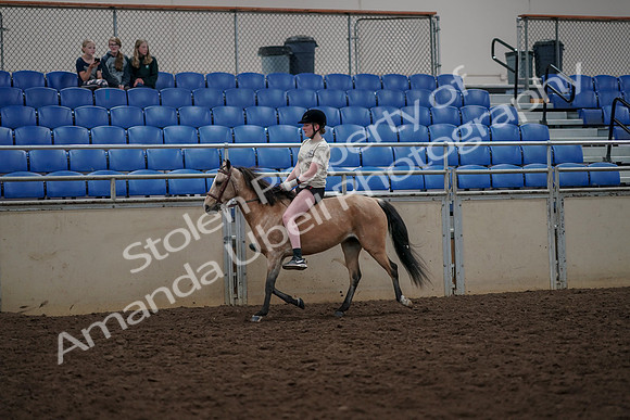 2019 Morgan Horse Show - Aug 30, 2019 - 31054