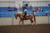 2019 Morgan Horse Show - Aug 30, 2019 - 25864