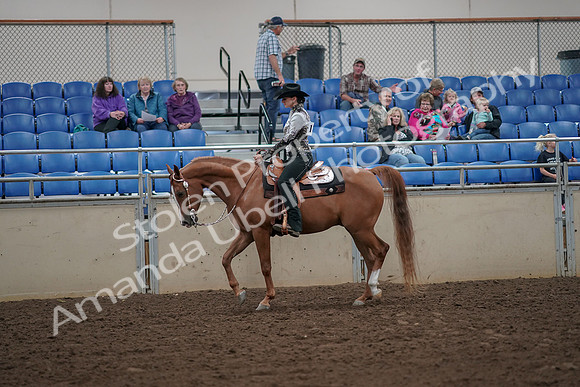 2019 Morgan Horse Show - Aug 30, 2019 - 25864