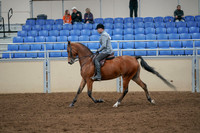2020 - AB Morgan Horse - Fri, Sept 04 - 10353