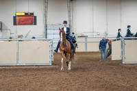 2020 - AB Morgan Horse - Sat, Sept 05 - 11354