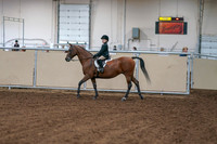 2020 - AB Morgan Horse - Fri, Sept 04 - 01998