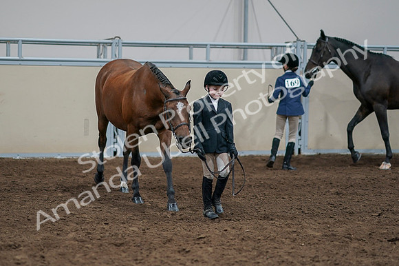 2020 - AB Morgan Horse - Fri, Sept 04 - 00824