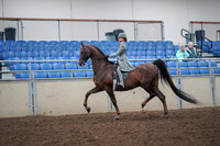 2019 Morgan Horse Show - Aug 30, 2019 - 17781