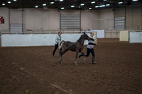 2019 Morgan Horse Show - Aug 31, 2019 - 00186