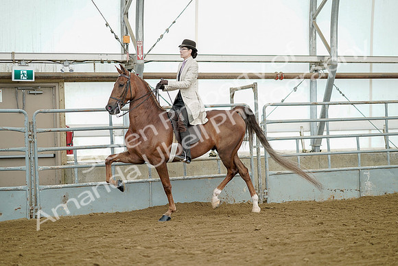 July 20, 2019 - 07853