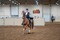 2020 - AB Morgan Horse - Sat, Sept 05 - 11366