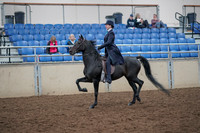 2019 Morgan Horse Show - Aug 31, 2019 - 18008